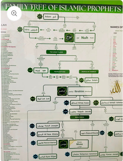 Prophet (PBUH) Family Tree
